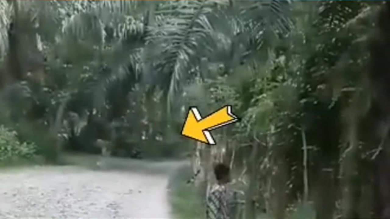 Real Ghost Caught on Camera