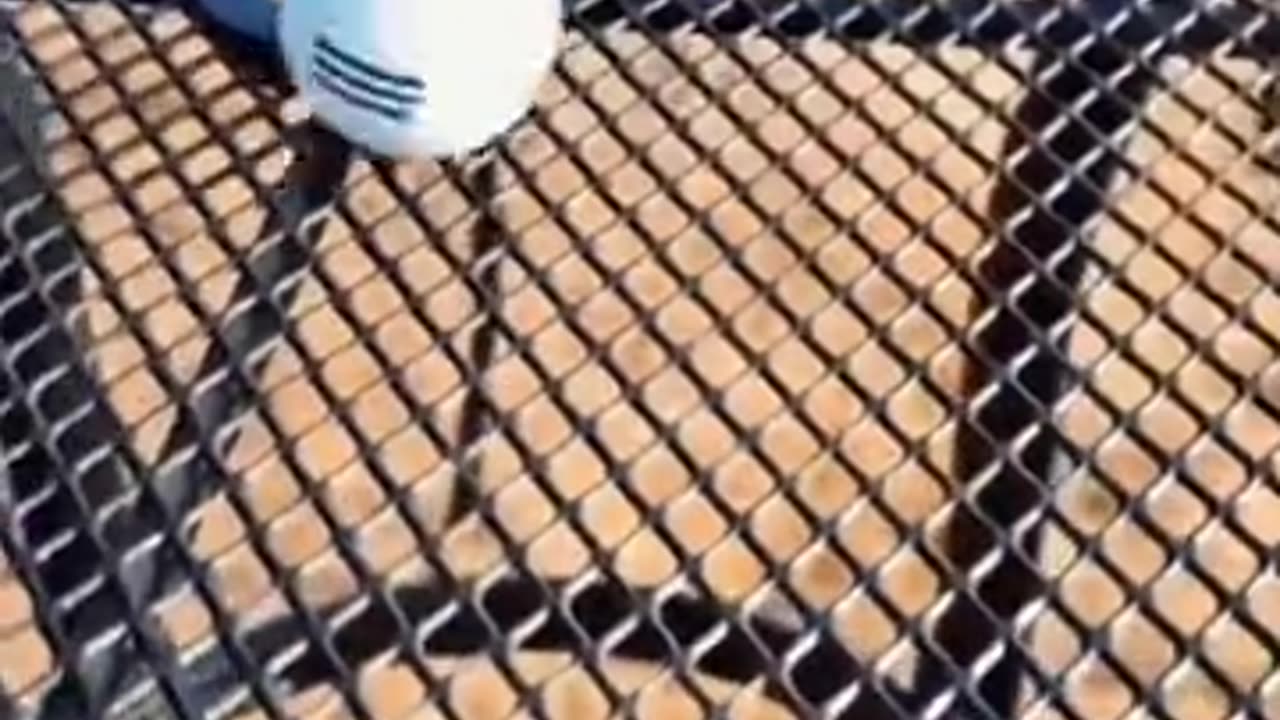强迫症无法拒绝的视频