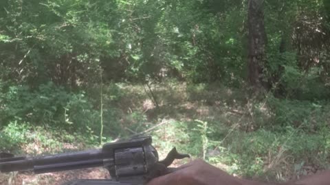 Rusted Ruger
