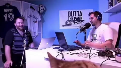 准备好迎接猫猫的突然出现了吗