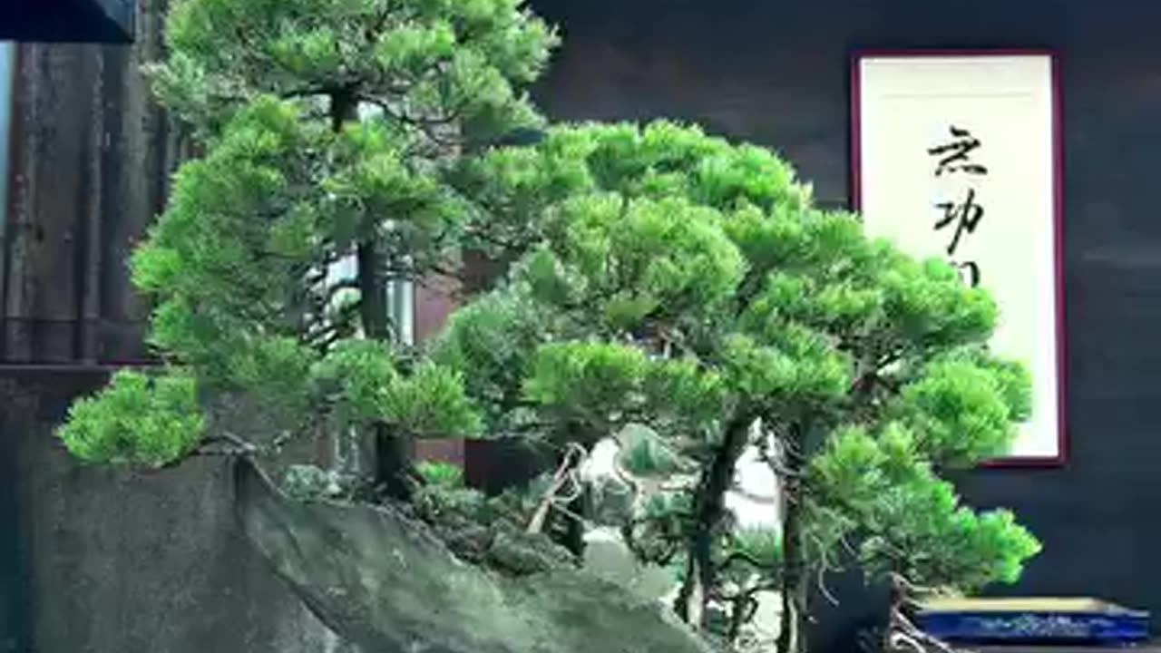 A quiet and peaceful life