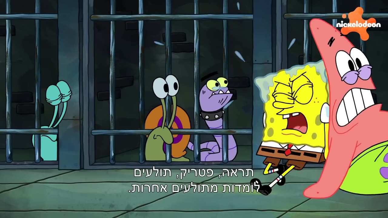 בובספוג מכנסמרובע 🍍 בובספוג מתנדב במקלט לחיות פרקים מלאים🤣 ניקלודיאון