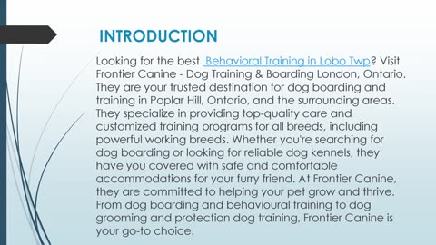 Best Behavioral Training in Lobo Twp
