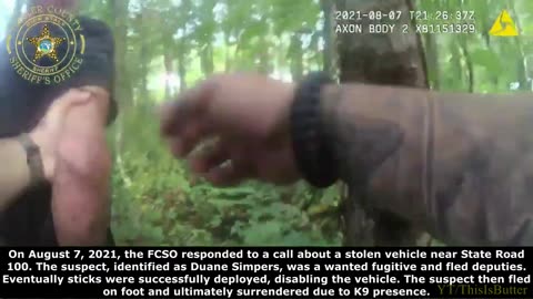 BODYCAM: Stolen Vehicle Suspect Face First In The Swamp, K9 Assist