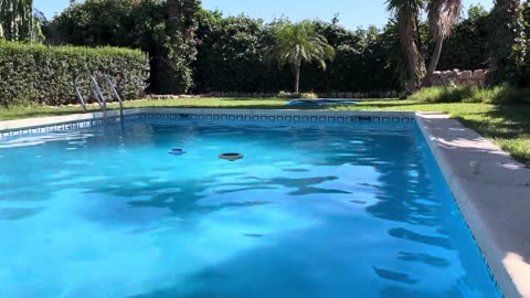 Pasando la tarde en la piscina de Cortijo Cano