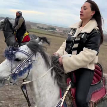 Could you ride this horse?