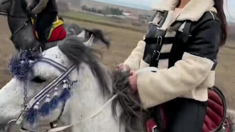 Could you ride this horse?