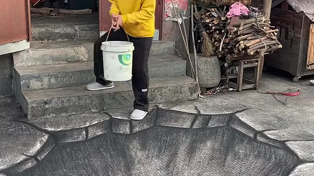 我的狗哪去了#3d