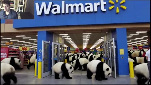 Outtake #1,210 Of Over 5 Panda Bears Roam Around A Walmart Supercenter Fake Funny Parody Video