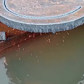 अपनी तकदीर को बदनाम मत करो