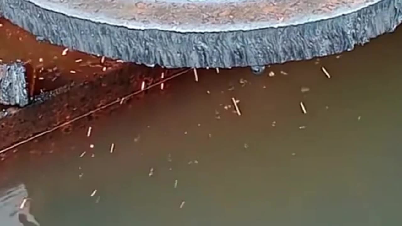 अपनी तकदीर को बदनाम मत करो