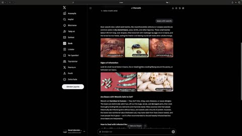 RECAI ISKENDER SUPER FOLLOSH SHOCK THERAPY