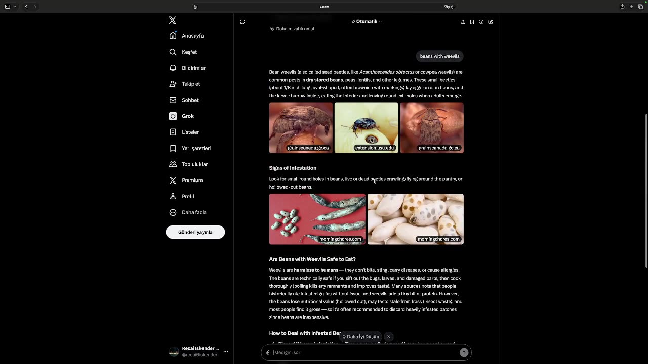 RECAI ISKENDER SUPER FOLLOSH SHOCK THERAPY