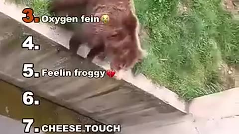 Best funny moments