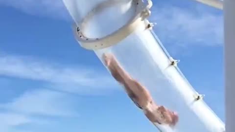 Woman trapped upside down for nearly an hour in a CRUISE SHIP water slide...