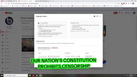 Another version of disclaimer