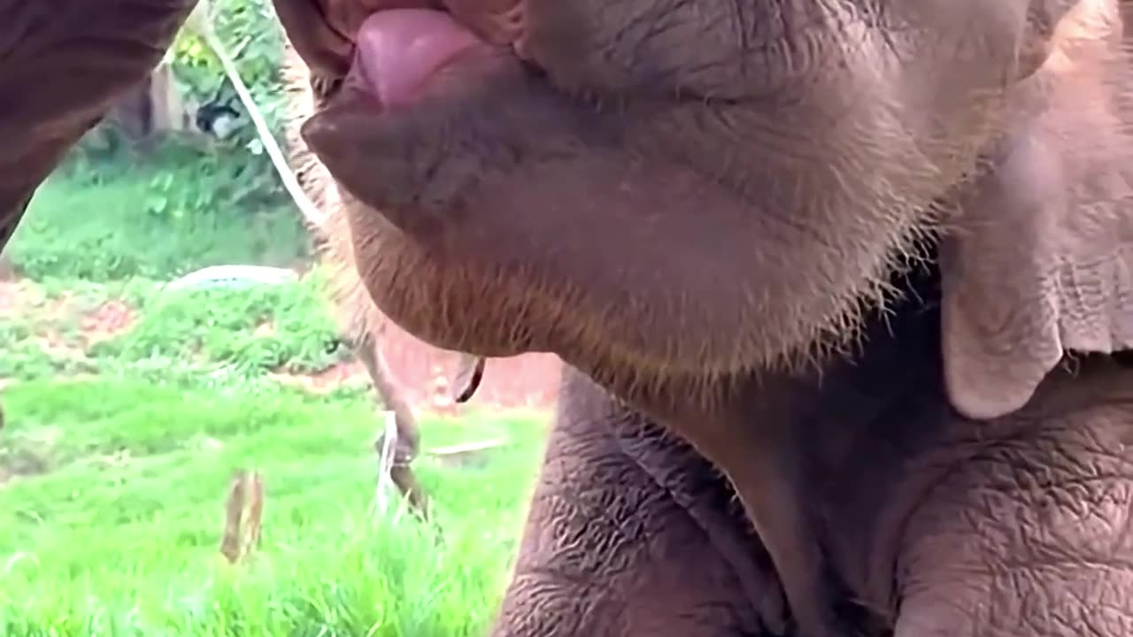 Time For Drink Mother's Milk