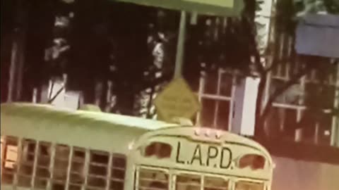Police bus for adult children