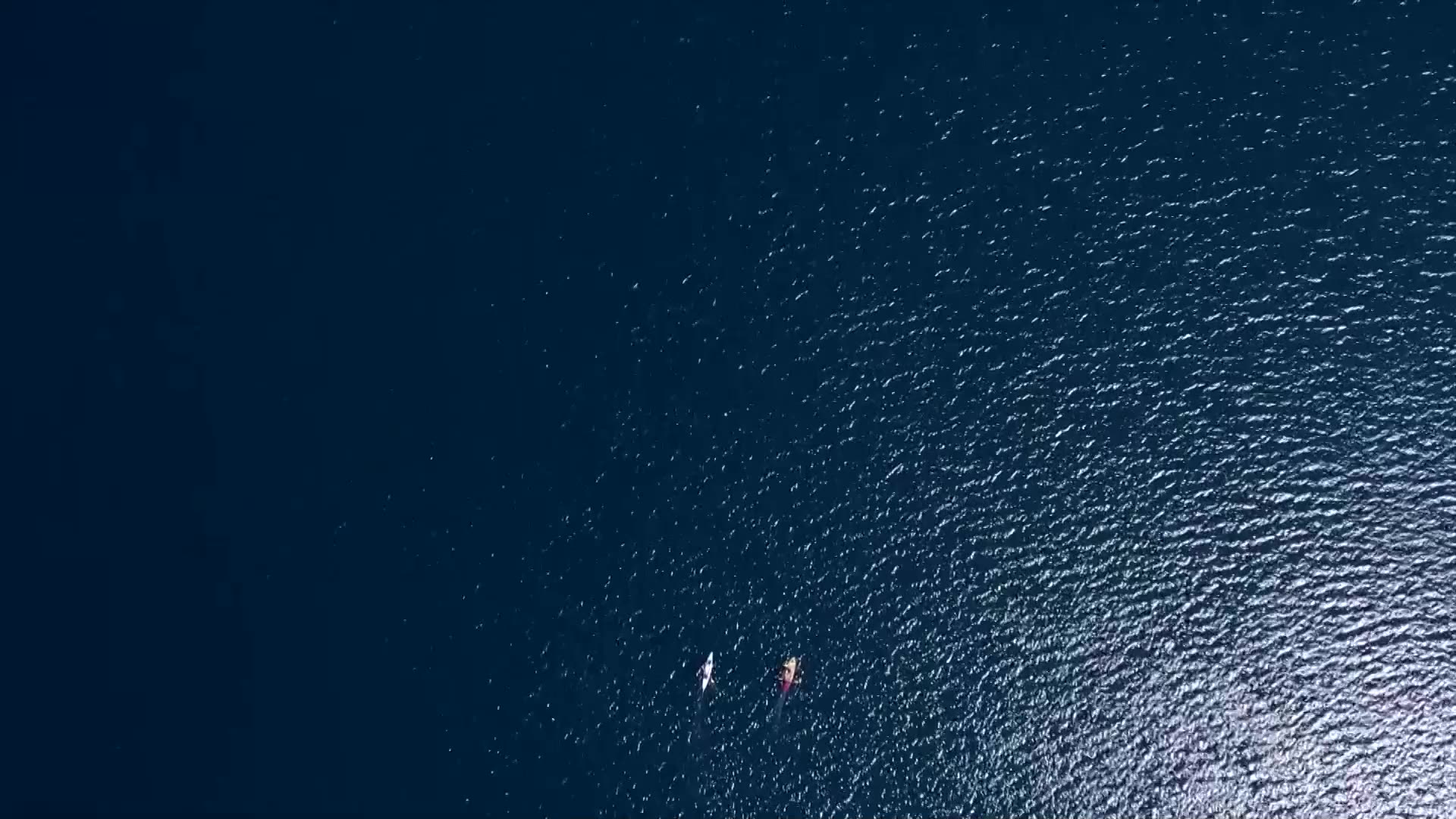 Rising temperatures threaten Croatias largest coral reef