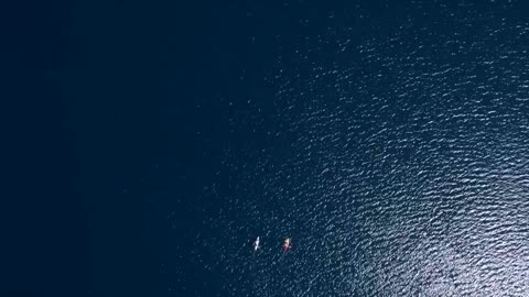 Rising temperatures threaten Croatia's largest coral reef