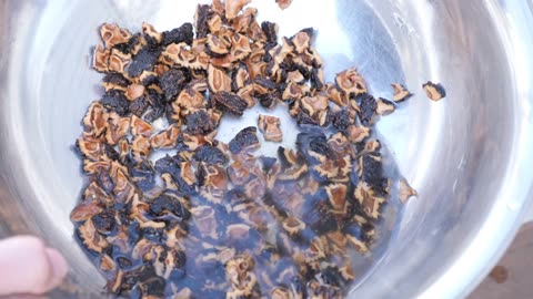 Black walnuts