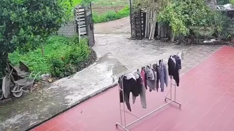 😂🧺 When Laundry Calls, You Gotta Answer! Our Laundry People Needs Us | FunFM