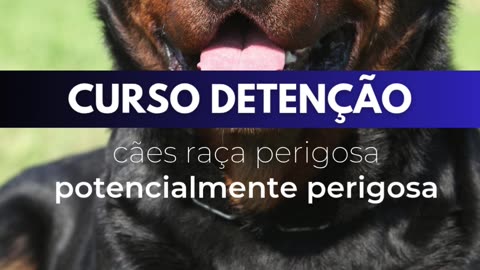 Curso Detentores De Cães Perigosos Ou Potencialmente Perigosos