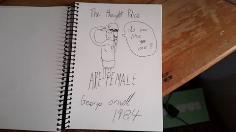 The thought police are female (Song about the TEA (spy on men) app)