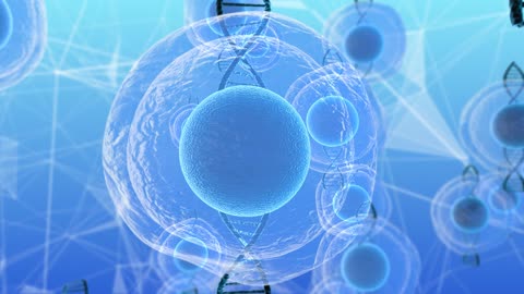 The Path of Humanity: Evolution, Future and the Importance of Artificial Intelligence