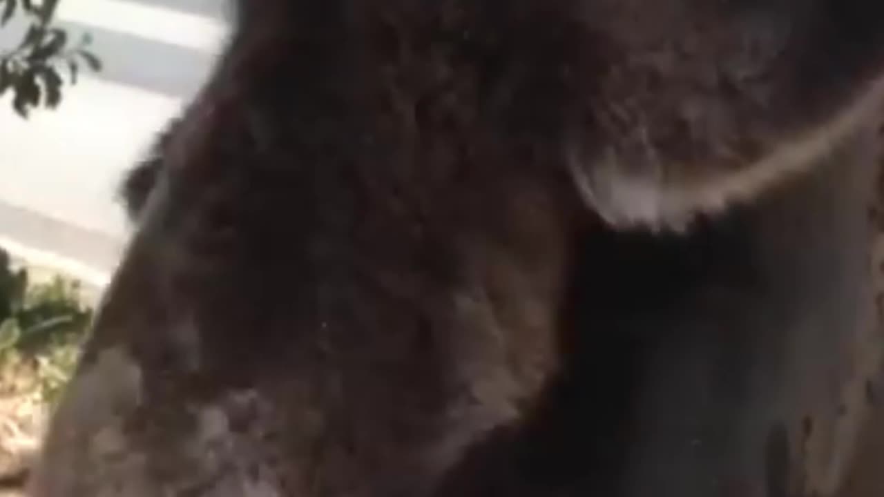 SKETCHY Jumping in A DIFFICULT GAME About CLIMBING