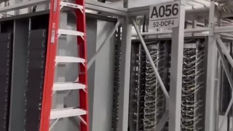 🇺🇲 AMERICAN BITCOIN