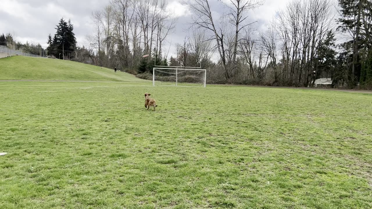 Tokala makes the catch 2923940823948