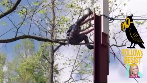 😂🧗♂ He Thought He Could Climb This? | FunFM
			