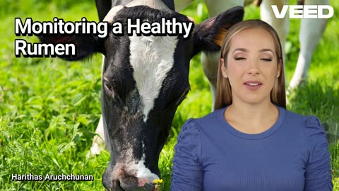 Monitoring a Healthy Rumen:Key to Thriving Livestock and Maximum Productivity