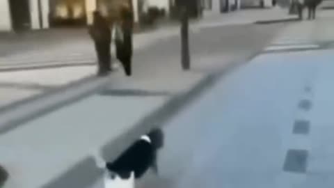 Funny clip no. 3
