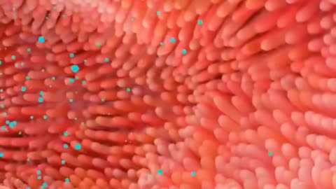 Drinking warm water on an empty stomach does this to your body