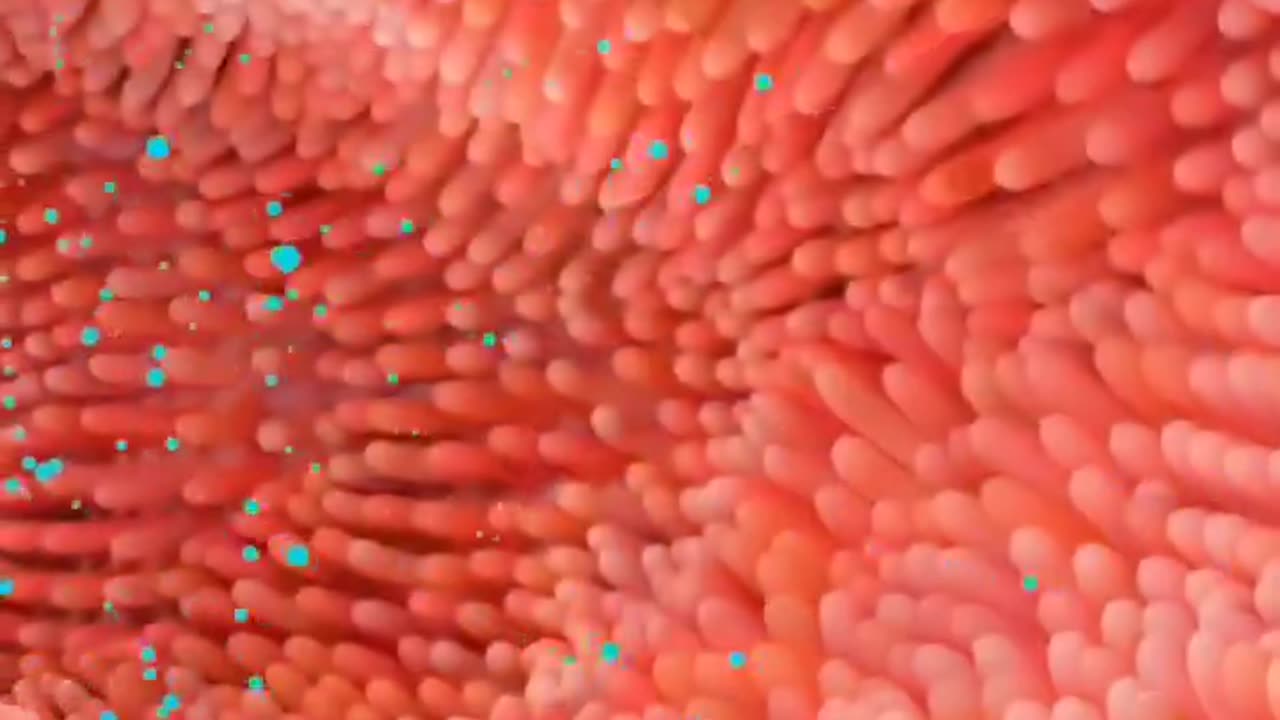 Drinking warm water on an empty stomach does this to your body