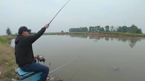 Flussidylle Auf der Jagd nach Fischen