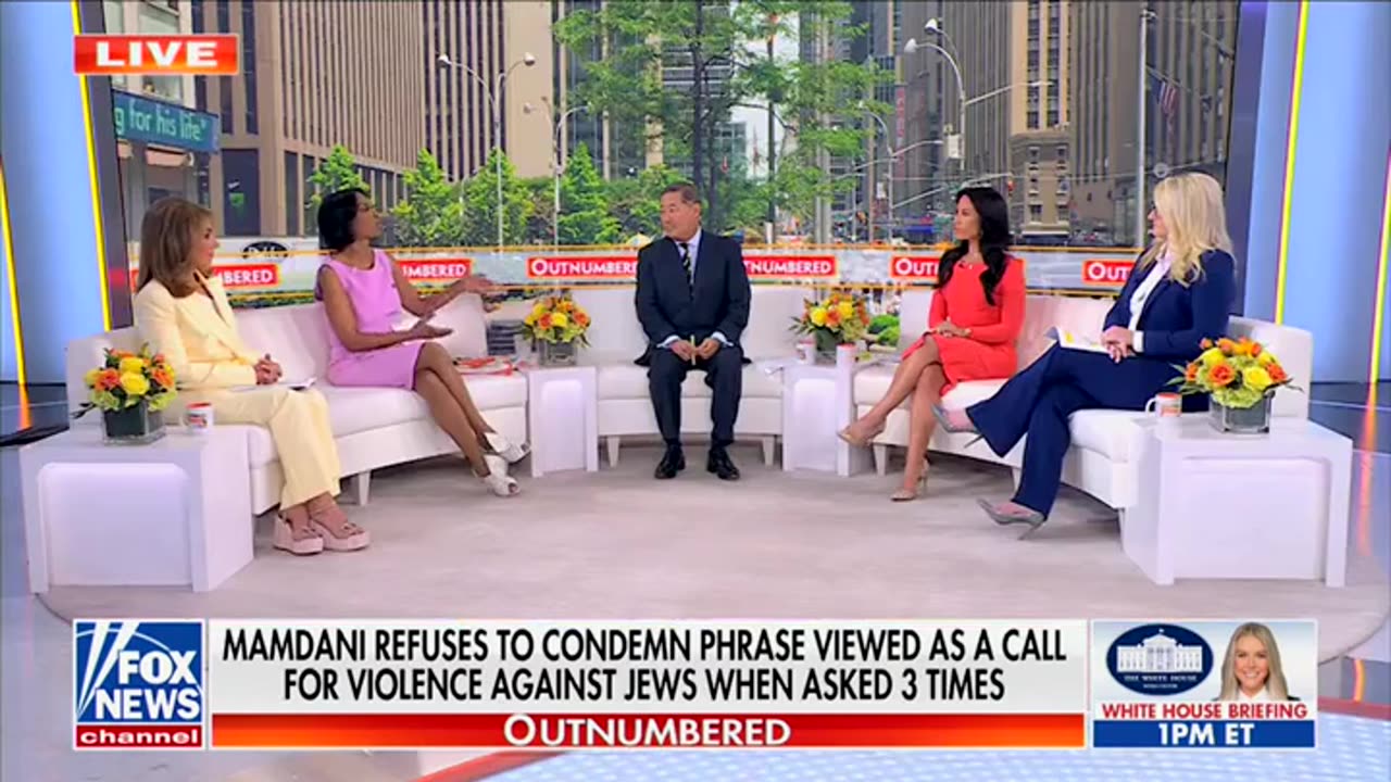 'Not Everybody': Harris Faulkner, Dem Panelist Brawl For 2 Minutes Over Mamdani