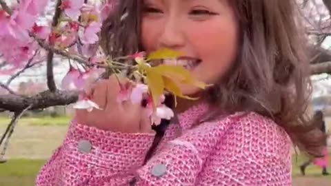 Japan Cherry Blossoms🌸