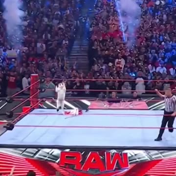 Viral Wrestling Cat Takedown