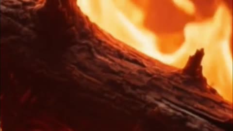 Flames Burn Unleashing Desire, Woes, and Renewal!