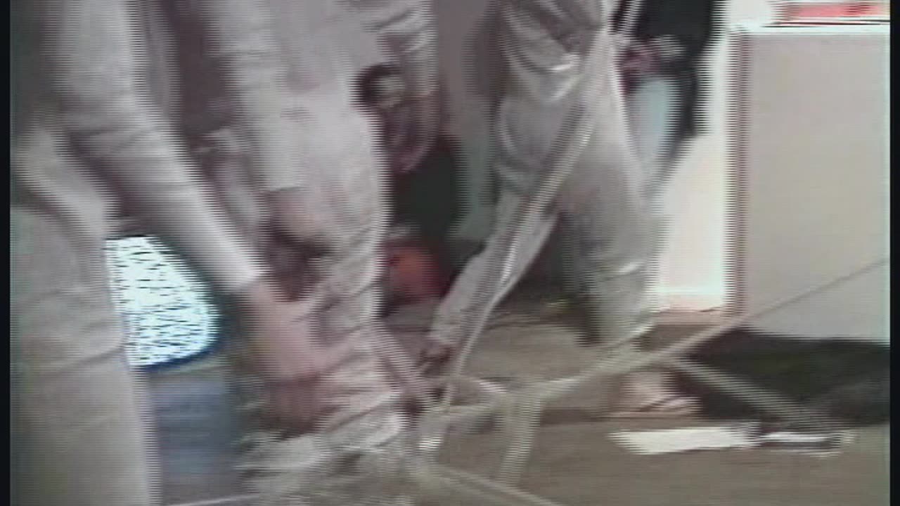 Milan Kohout, School of the Museum of Fine Arts Class Performance “THE TUBES”,1991