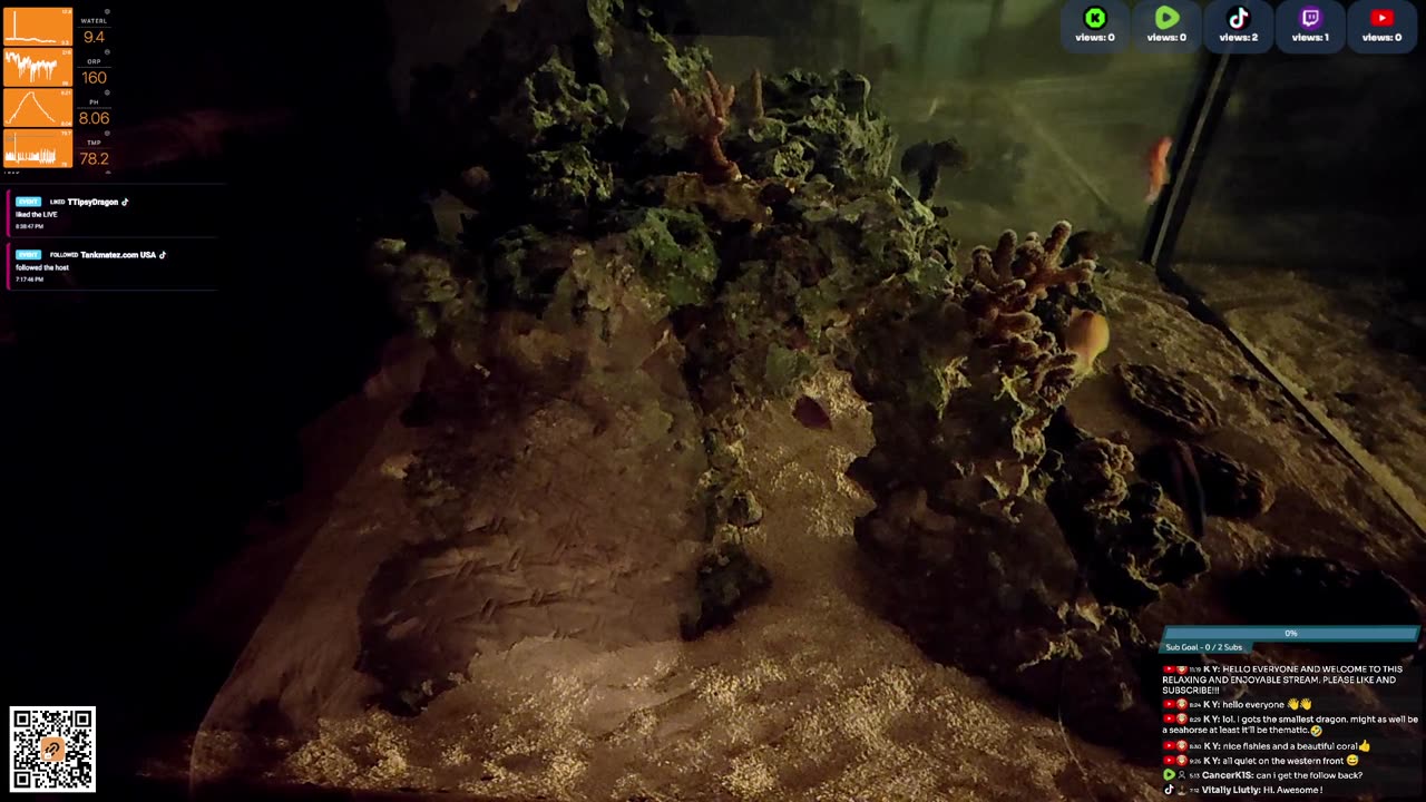 24/7 Real Live Reef Stream