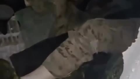 Russian Soldier Films Aftermath of a Raid Behind Their Lines
