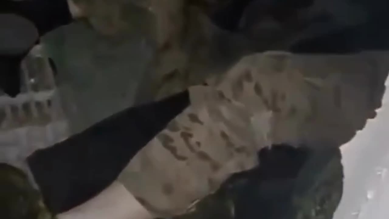 Russian Soldier Films Aftermath of a Raid Behind Their Lines