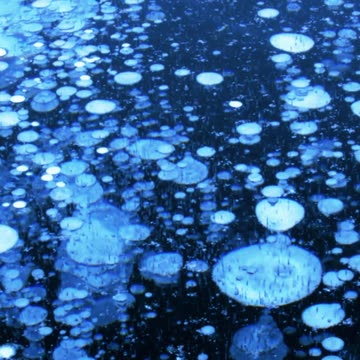 Secrets Beneath the Frozen Abyss ❄️🧊 | Sounds of Nature