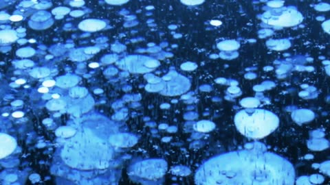 Secrets Beneath the Frozen Abyss ❄️🧊 | Sounds of Nature