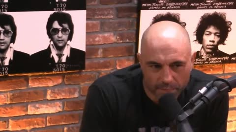 Joe Rogan's entire being condensed into 19 seconds