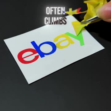 Why people invest in bitcoin 🪙